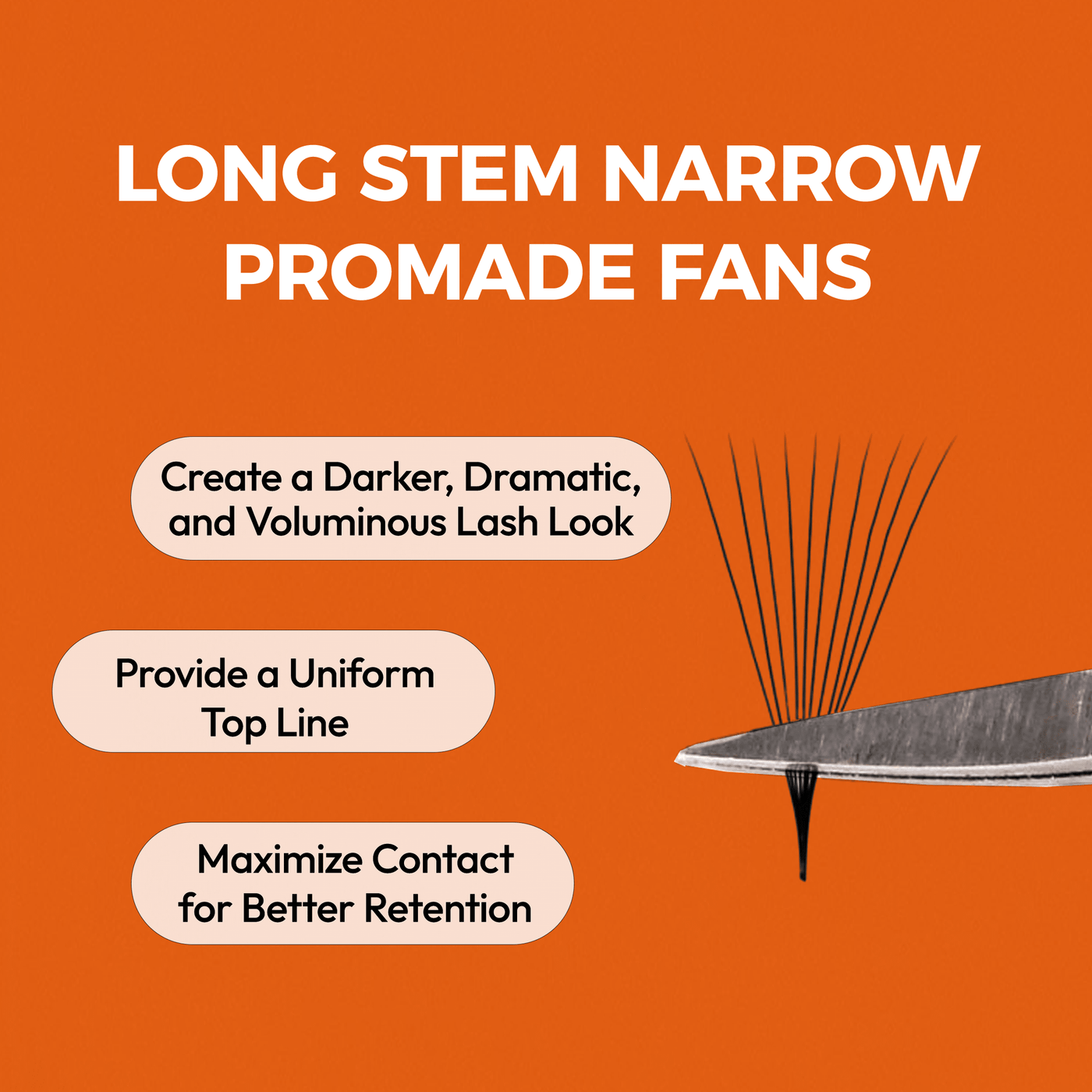 Narrow Fans Tray | 576 Promade fans 3D - 12D | for WHOLESALE Pre-order