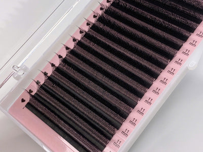 YY Lash &amp; W 3D Wimpernverlängerung | Easy Fan Volume Lash 0,07 mm | für den GROSSHANDEL Vorbestellung